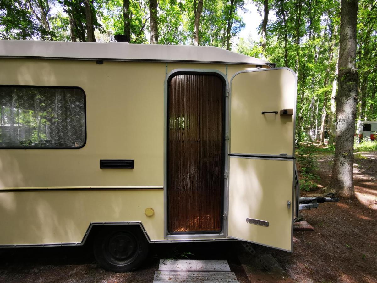 Ddr Kult Wohnwagen Direkt Am Campsite *