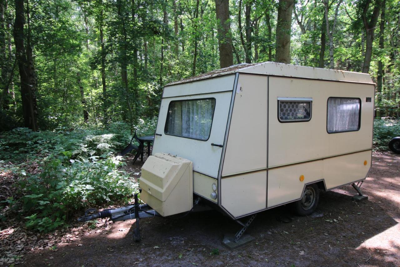 Ddr Kult Wohnwagen Direkt Am Campsite Kreptitz