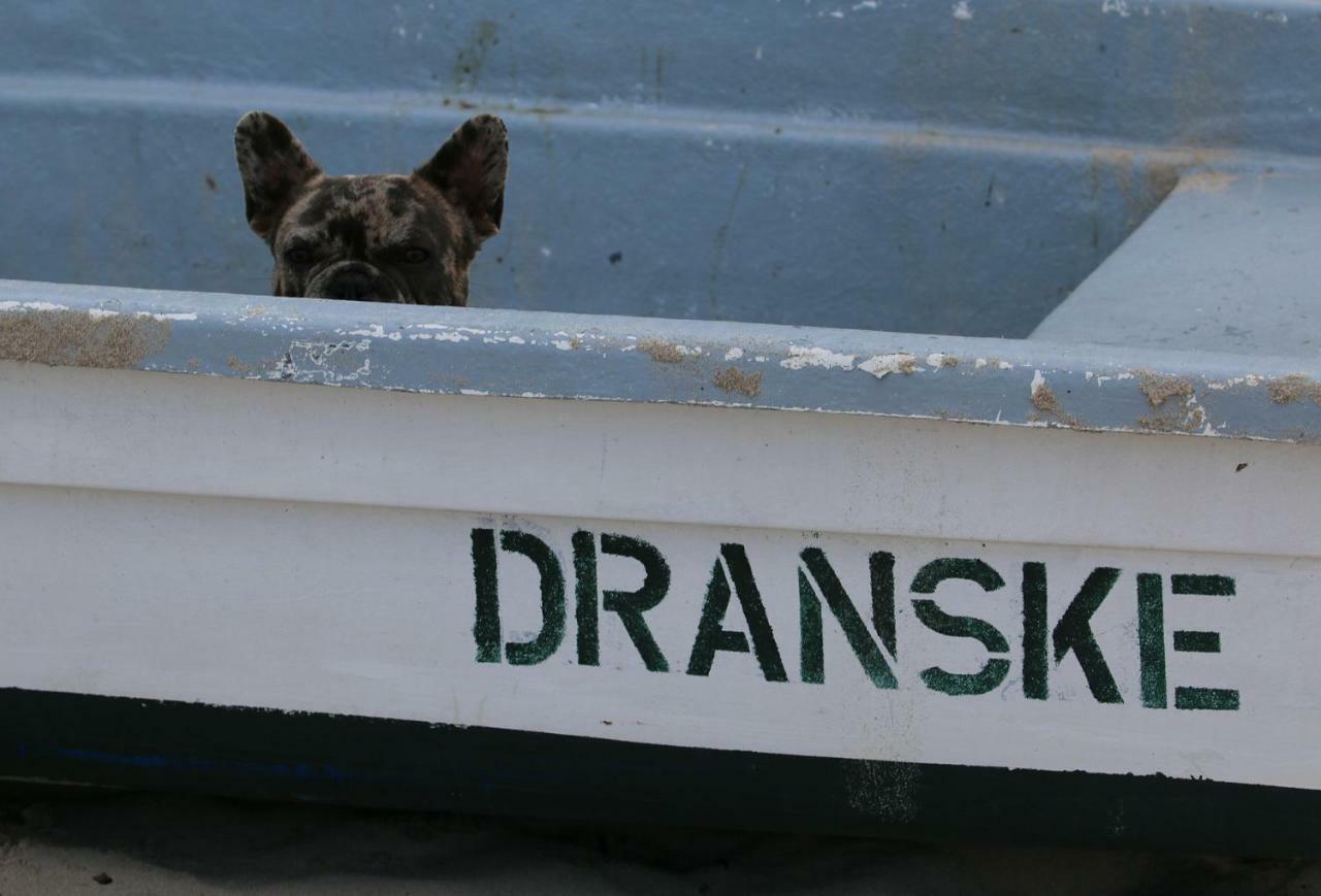 Ddr Kult Wohnwagen Direkt Am * Kreptitz
